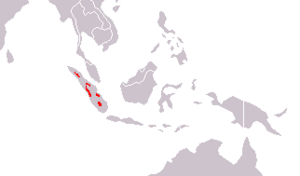 Distribution of the Sumatran tiger