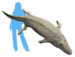 Paracyclotosaurus crookshanki life restoration