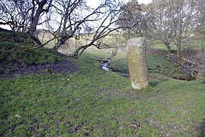 Pasture, Bradley Burn and Roman milestone, near Vindolanda - geograph.org.uk - 409042