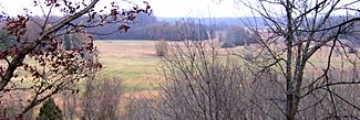 Pinson-mounds-saul-view1