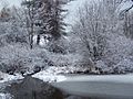 Pond in winter 2