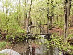 Redinger Ditch Spring