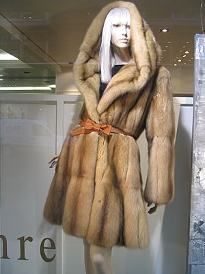 Russian gold sable coat, Düsseldorf 2011