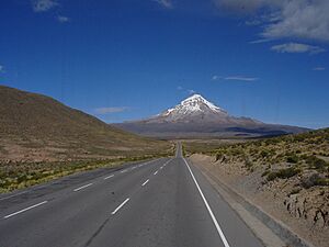 Ruta 4 (Bolivia) con el Nevado Sajama de fondo