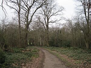 Scadbury Park path