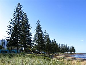 Scarborough-Beach-Queensland