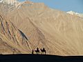 Silhouette at Nubra Valley