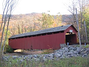 Sonestown Covered Bridge 12