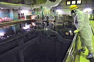 Spent Fuel Pool (02813601)
