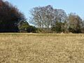 St Dunstan's Farm Meadows (3)