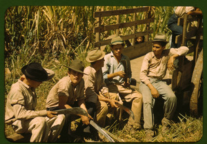 Sugar cane workers resting, Rio Piedras, Puerto Rico LCCN2017877774