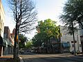 Sumter mainstreet