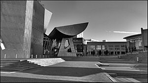 The Lowry (8020515819)