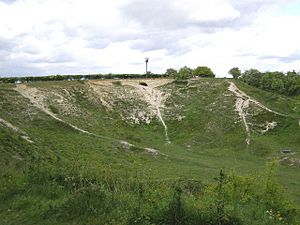 The Orwell Clunch Pit - geograph.org.uk - 437401.jpg