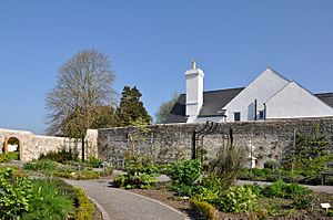 A picture of the Physic Garden, featuring some plants a stone wall