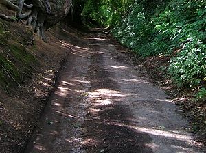 Track to Park Farm - geograph.org.uk - 528139 cropped.jpg