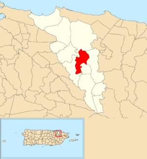 Location of Trujillo Bajo within the municipality of Carolina shown in red