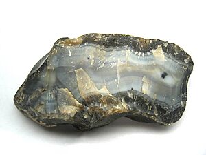 Unknown Polished Rock Macro 2