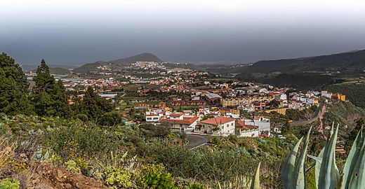 Valsequillo de Gran Canaria D81 8100 (32958370611)