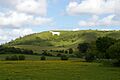Westbury White Horse - geograph.org.uk - 1638342