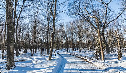 Winter Road - Shivering Sands, Door Peninsula (32151198956)