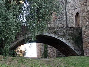 179 Castell cartoixa de Vallparadís, pont del fossat