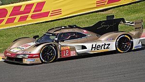 2024 6 Hours of Spa-Francorchamps Hertz Team Jota Porsche 963 No.12 (DSC05511)