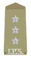 ASP IPS