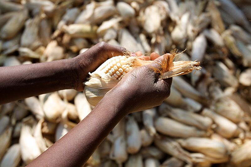 Africa Food Security 11 (10665081134)
