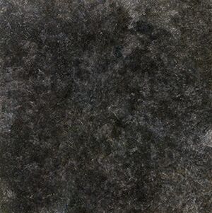 Angelina Pwerle Bush Plum 2019