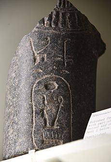 Basalt fragment. Part of a necklace, in relief, is shown together with a cartouche of Seti I. 19th Dynasty. From Egypt. The Petrie Museum of Egyptian Archaeology, London