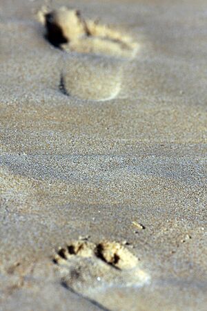 Big Foot (6225546731)