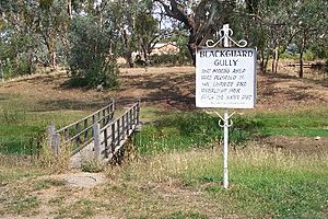 Blackguard Gully Reserve and sign.jpg