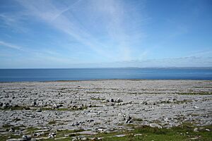 Burren Landscape 2