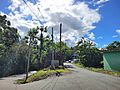 Carretera PR-884, intersección con la carretera PR-882, Naranjito, Puerto Rico