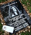 Clifford Burton Memorial Stone At Crash Site