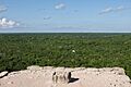 Cobá - 11
