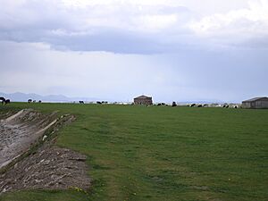 CockersandAbbey