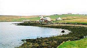 Cullivoe - geograph.org.uk - 181486.jpg