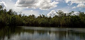 Deep Lake, Florida.jpg
