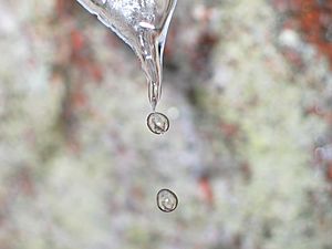 Drop of water 2003 03