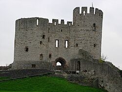 Dudley Castle -England