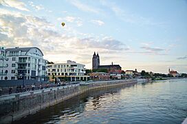 Elbufer Magdeburg mit Dom