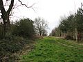 Footpath through Pigney's Wood - geograph.org.uk - 720296