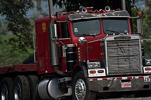 Freightliner-1-5 - Flickr - Ragnhild & Neil Crawford