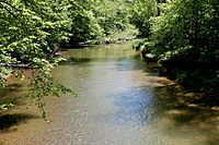 Green Creek (Fishing Creek) in springtime.JPG