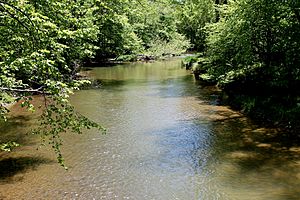 Green Creek (Fishing Creek) in springtime