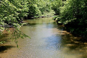 Green Creek (Fishing Creek) in springtime.JPG