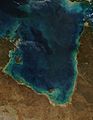 Gulf of Carpentaria-MODIS 250m