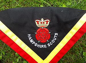 Hampshire Scouts necker